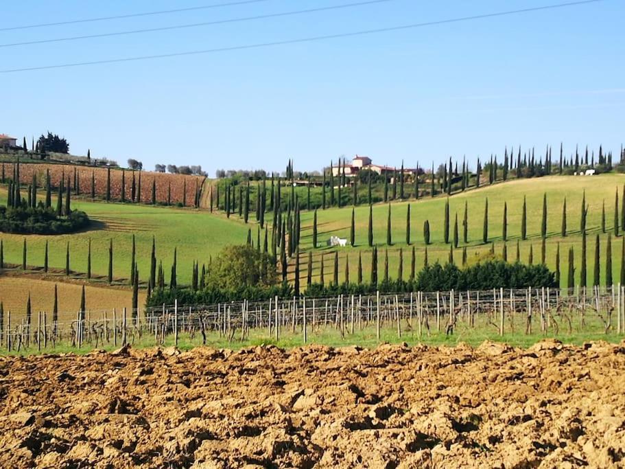 Castello Di Fulignano Ildebrando Superior Apartment 圣吉米纳诺 外观 照片